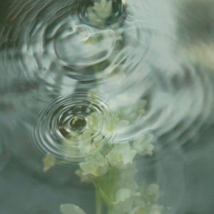 Training (Module 5 | Werkhoven | 15-16 jan en 11-12 feb | 2027)