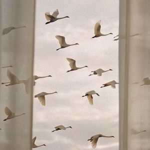 Verblijf (module 8 Creil)